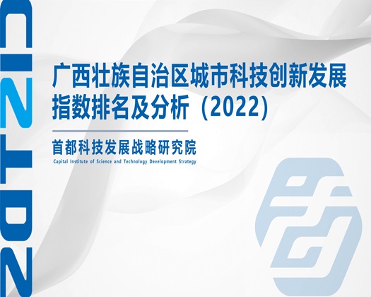 逼能操马【成果发布】广西壮族自治区城市科技创新发展指数排名及分析（2022）